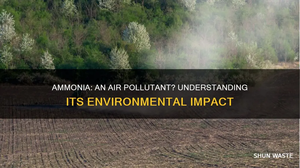 is ammonia an air pollutant