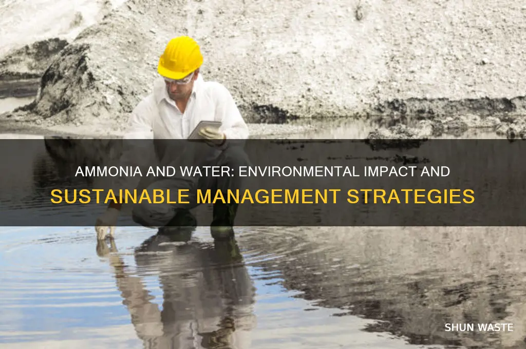is ammonia and water bad for the environment