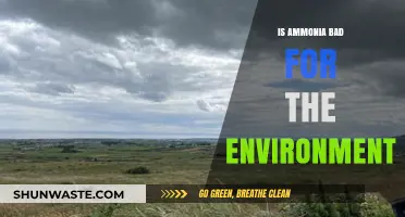 Ammonia's Environmental Impact: Harmful Effects and Sustainable Solutions Explored