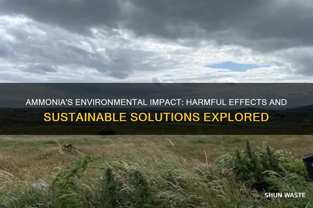 is ammonia bad for the environment