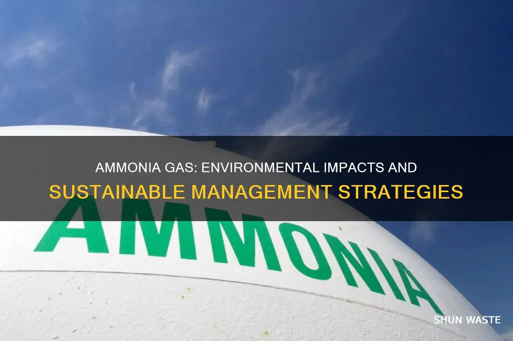 is ammonia gas bad for the environment