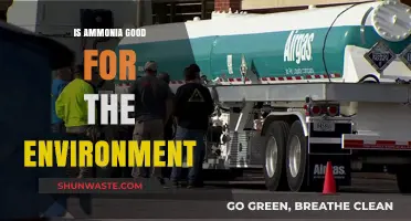 Ammonia's Environmental Impact: Benefits, Risks, and Sustainable Applications