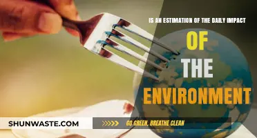 Daily Environmental Impact: Assessing Nature's Influence on Our Lives