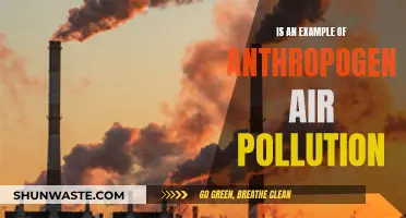 Human-Caused Air Pollution: Impacting Our Environment and Health
