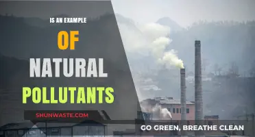 Natural Pollutants: What's the Harm?