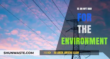 NFTs' Environmental Impact: Uncovering the Hidden Ecological Costs of Digital Art