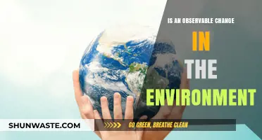 Environmental Shifts: Understanding Observable Changes in Our Surroundings