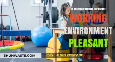 Exploring the Comfort and Satisfaction of Occupational Therapy Workplaces