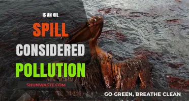 Oil Spills: Understanding Environmental Pollution and Impact