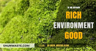 Oxygen-Rich Environments: Benefits, Risks, and Optimal Health Balance Explained