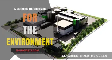 Anaerobic Digestion: Eco-Friendly Solution or Environmental Concern?