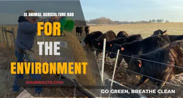 Animal Agriculture's Environmental Impact: Uncovering the Hidden Costs