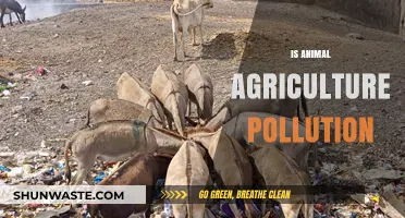 Animal Agriculture: A Major Polluter?