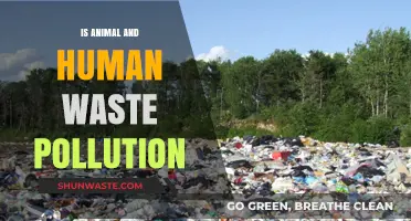 Waste Pollution: Animal and Human Impact
