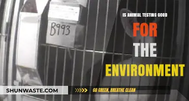 Animal Testing's Environmental Impact: Ethical Dilemma or Eco-Friendly Necessity?