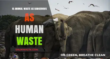 Animal vs. Human Waste: Comparing Health Risks and Environmental Impact