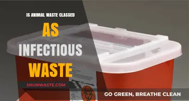 Animal Waste and Infectious Classification: What You Need to Know