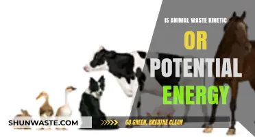 Animal Waste: Unlocking Kinetic or Potential Energy Secrets