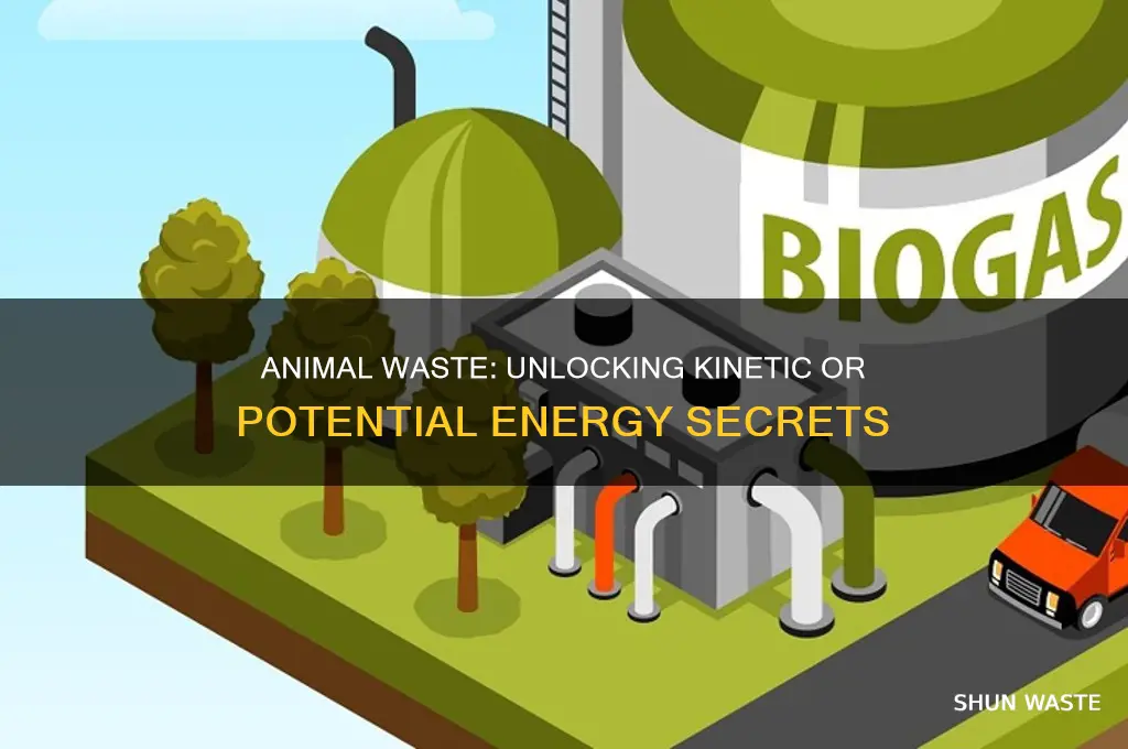 is animal waste kinetic or potential energy