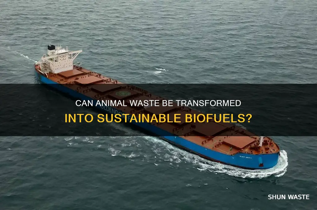 is animal waste used to make biofuels