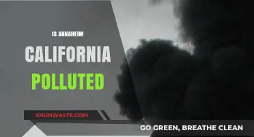 Anaheim's Pollution Problem: Is It Getting Worse?