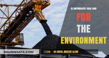 Anthracite Coal's Environmental Impact: A Comprehensive Analysis and Discussion