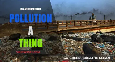 Anthropogenic Pollution: Fact or Fiction?