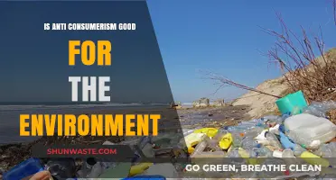 Anti-Consumerism: A Sustainable Path to Environmental Preservation and Renewal