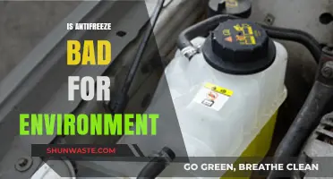 Antifreeze Environmental Impact: Harmful Effects and Eco-Friendly Alternatives