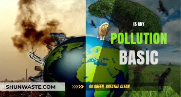 Pollution Basics: Understanding the Complexities of Environmental Threats