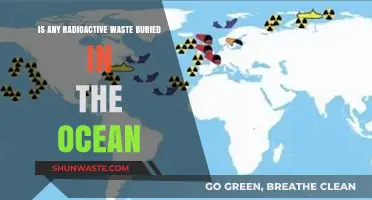 Ocean's Secret: The Truth About Buried Radioactive Waste