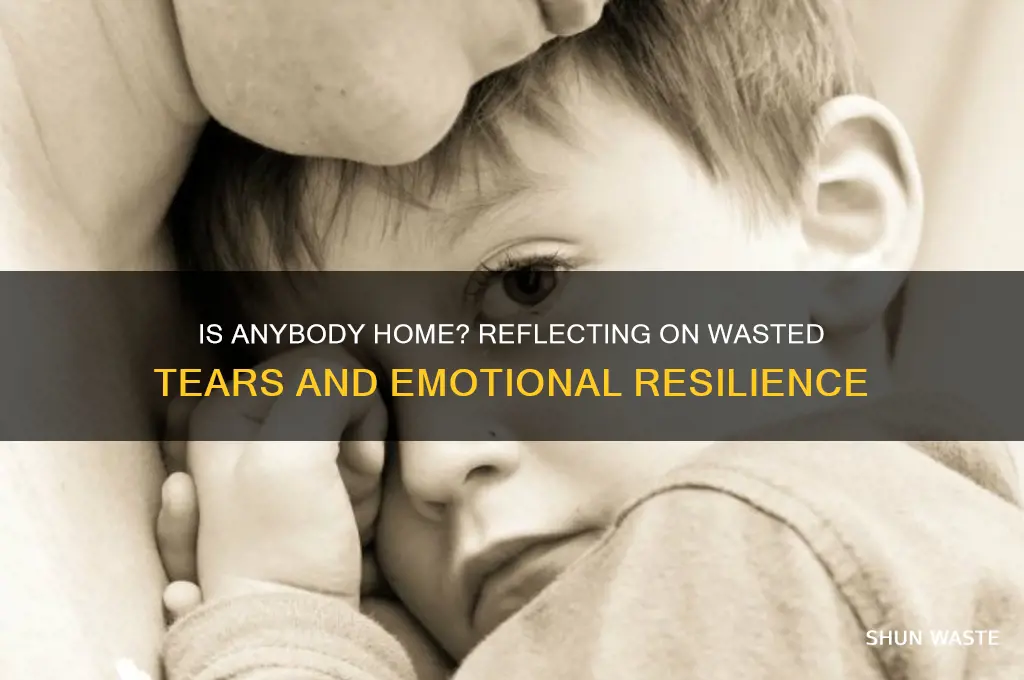 is anybody home is anybody wasting tears