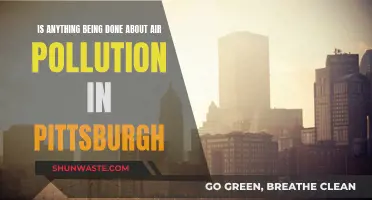 Pittsburgh's Air Pollution: What's Being Done?