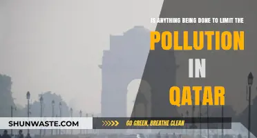 Qatar's Pollution: What's Being Done to Limit It?