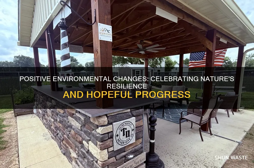 is anything good happening in the environment