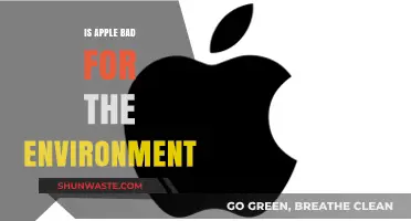 Is Apple Eco-Friendly? Uncovering Its Environmental Impact and Sustainability Efforts