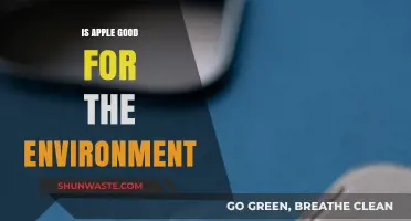 Is Apple Eco-Friendly? Exploring Its Environmental Impact and Sustainability
