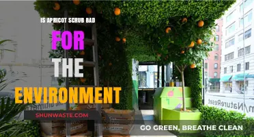 Is Apricot Scrub Eco-Friendly? Environmental Impact Explained