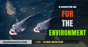 Aquaculture's Environmental Impact: Sustainable Solution or Ecological Threat?