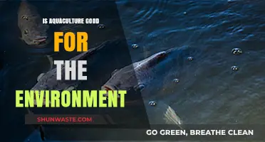 Aquaculture's Environmental Impact: Sustainable Solution or Ecological Challenge?