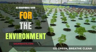 Aquaponics: A Sustainable Solution for Eco-Friendly Food Production?