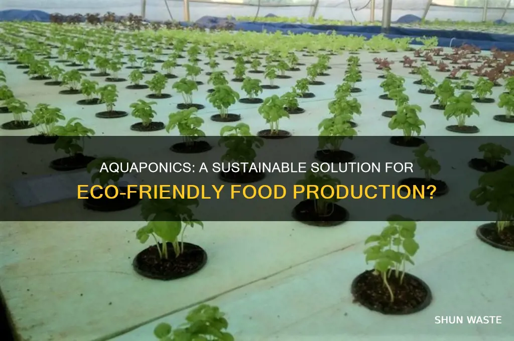 is aquaponics good for the environment