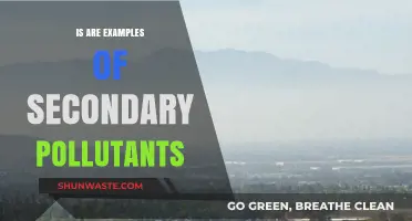 Secondary Pollutants: Understanding the Complex Impact