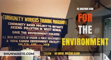 Arsenic's Environmental Impact: Harmful Effects and Ecological Consequences Explained