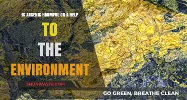 Arsenic's Dual Nature: Environmental Hazard or Unexpected Ally?