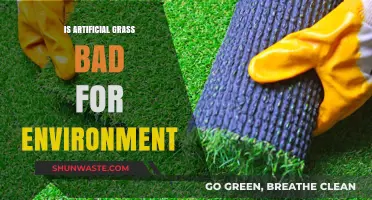 Is Artificial Grass Eco-Friendly? Uncovering Its Environmental Impact