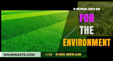 Is Artificial Grass Eco-Friendly? Uncovering Its Environmental Impact