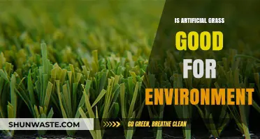 Is Artificial Grass Eco-Friendly? Uncovering Environmental Pros and Cons