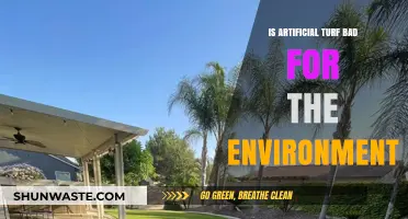 Artificial Turf's Environmental Impact: Sustainable or Harmful Choice?
