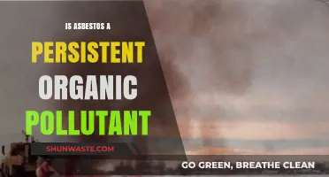 Asbestos: Persistent Organic Pollutant or Not?